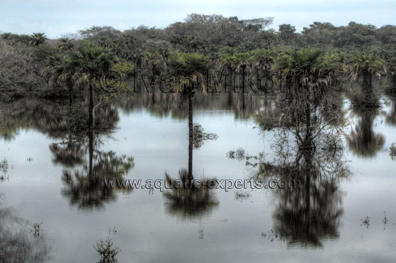 las fotos mas bellas de venezuela